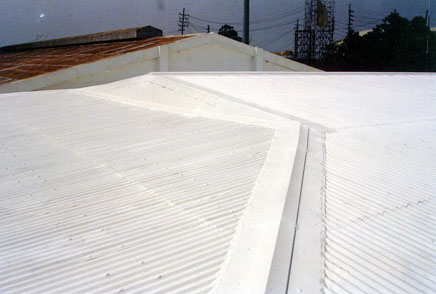 Butyl Rubber Elastomeric Roof Coating, How Much Does It Cost To White Coat A Roof