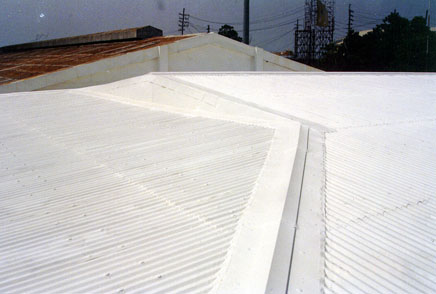 Elastomeric Roof Repair Coatings, Elastomeric Roof Coatings