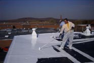 Roof Repair Caulk